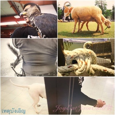บรรยากาศ