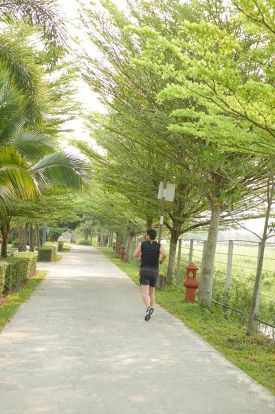 บริเวณโดยรอบ