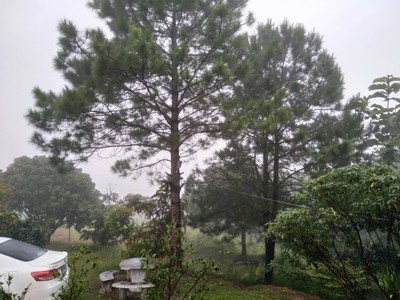 บริเวณโดยรอบ