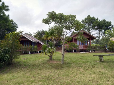 บริเวณโดยรอบ