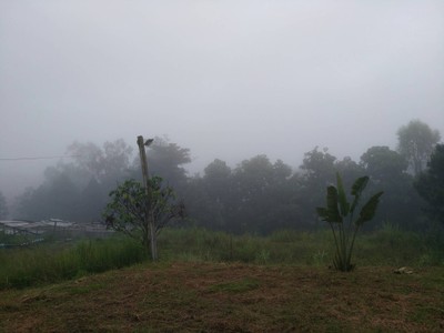 บริเวณโดยรอบ