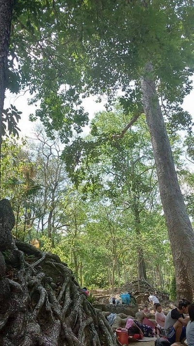 สวนรุกขชาติมวกเหล็ก