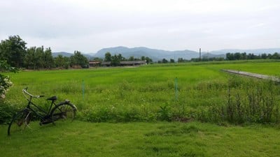 ราคาหลักสิบ วิวหลักล้าน