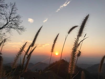 ดอยเสมอดาว