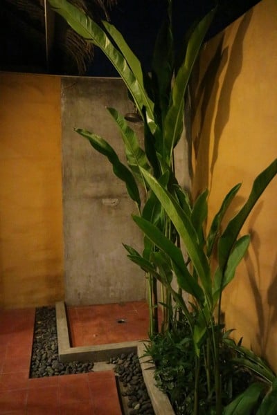 Out door ( Rain shower )