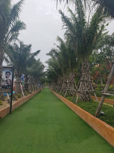 บรรยากาศ