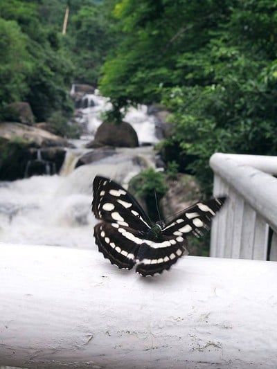 น้ำตกนางรอง