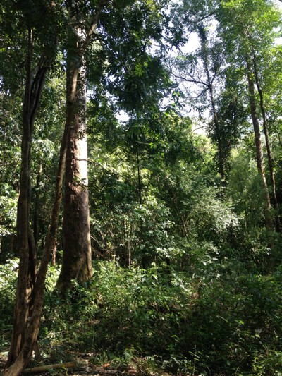 บรรยากาศ