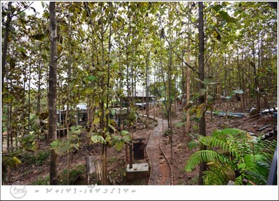 บริเวณโดยรอบ