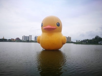 สวนสาธารณะหนองประจักษ์ศิลปาคม