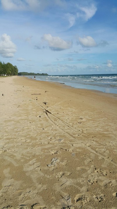 สระว่ายน้ำ/ชายหาด