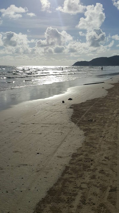 สระว่ายน้ำ/ชายหาด