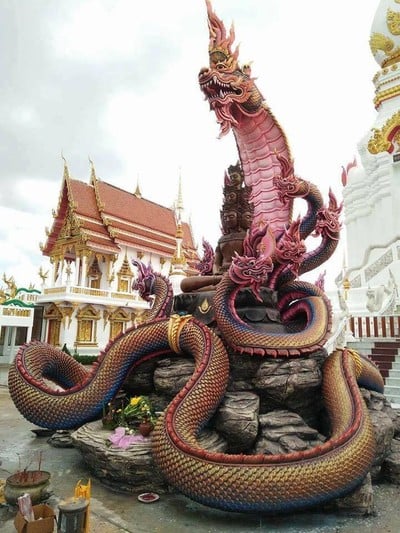 บรรยากาศ วัดป่าคลอง 11