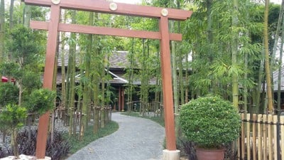 Nekoemon Cafe Chiang Mai