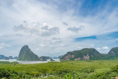 เสม็ดนางชีบูทีค เสม็ดนางชีบูทีค