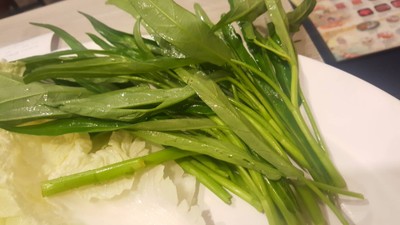 ผักบุ้ง