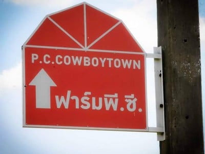 ตามมาเลยยย