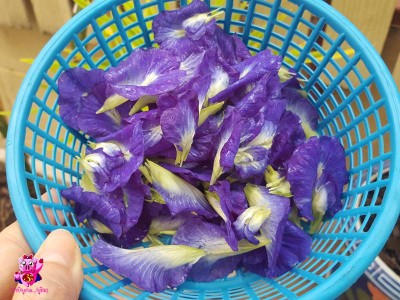 วิธีทำ เค้กอัญชันหน้านิ่ม