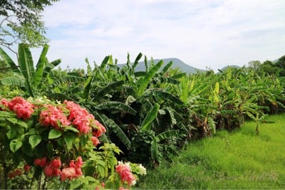 บรรยากาศ