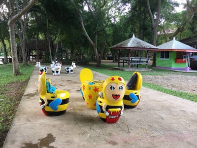 บริเวณโดยรอบ