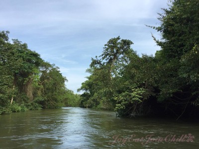 สิ่งอำนวยความสะดวก/กิจกรรม