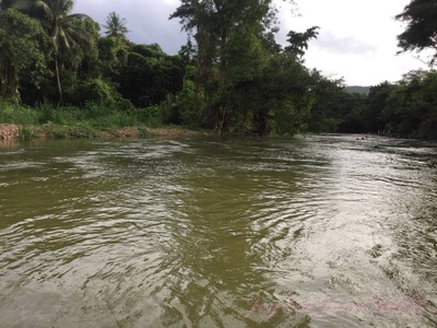 สิ่งอำนวยความสะดวก/กิจกรรม