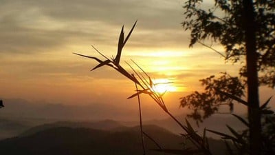 วนอุทยานภูบ่อบิด