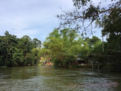 สิ่งอำนวยความสะดวก/กิจกรรม