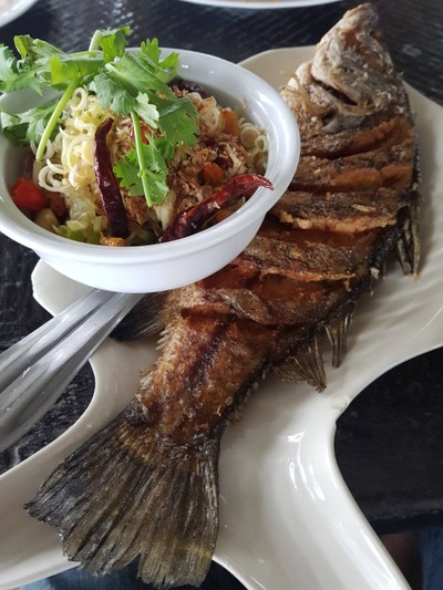 ปลากระพงทอด ยำสมุนไพร