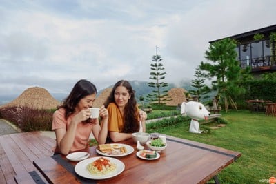 At Tree Resort