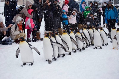 เดินกันเป็นแถวหน่อย