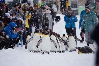 พร้อมแล้วนะ