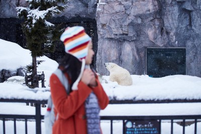 บอกลาพี่หมี