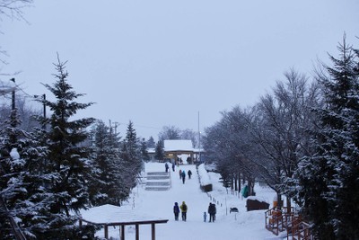 สวนสัตว์ปิดแล้ว