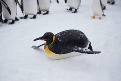 ใช้พูงเดินง่ายกว่า