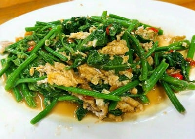 ผัดไข่ยอดฟักแม้ว