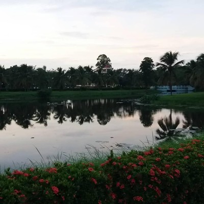 ขอบคุณรูปภาพจาก FB คุณ Aunchalee Chakhuttrai