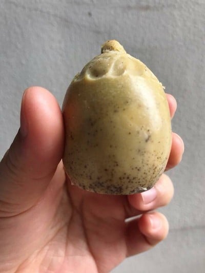ไข่ย่างห๊อมหอม