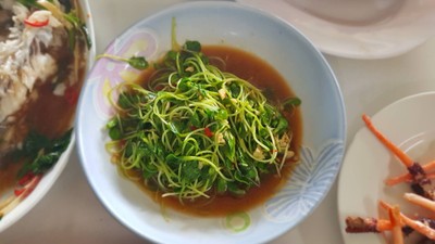 ต้นอ่อนทานตะวันผัดไฟแดง