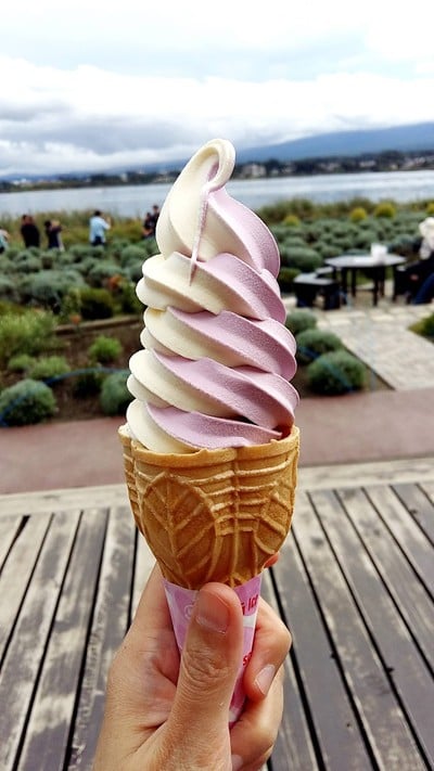 Soft Cream Blueberry Mix Vanilla