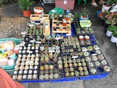 ตลาดน้ำตลิ่งชัน