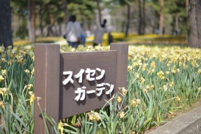 Hitachi Seaside Park