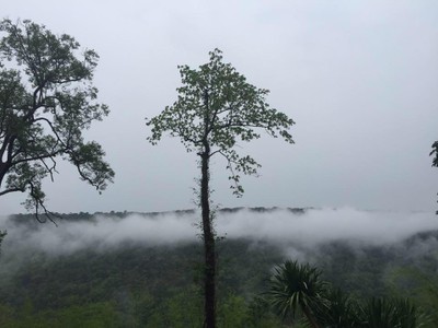 บรรยากาศ ผาหมอกมิวาย