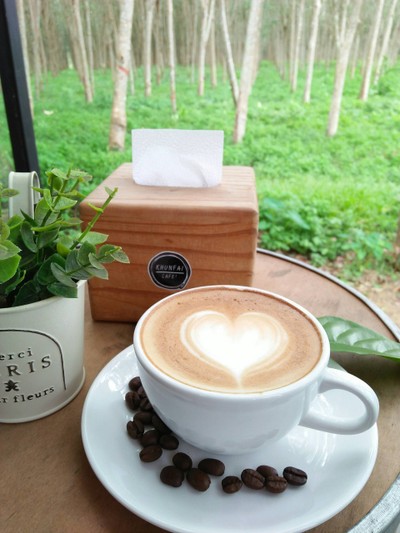 khunfai cafe' (สวนคุณฝ้าย คาเฟ่) khunfai cafe' (สวนคุณฝ้าย คาเฟ่)