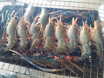 กุ้งเป็นเผาฟรี