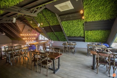 Balloon Delicious Paradise