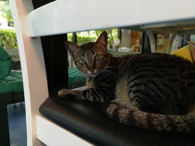 อื่นๆ