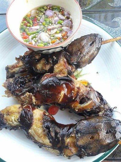 ปลาดุกย่าง