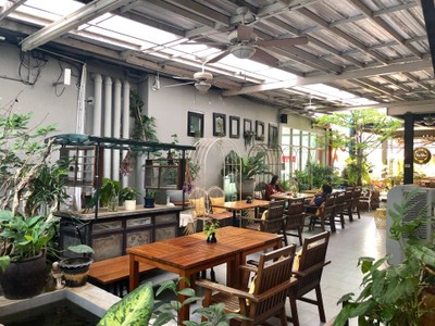 บรรยากาศ Tree Tales Cafe พัทยา นาเกลือ