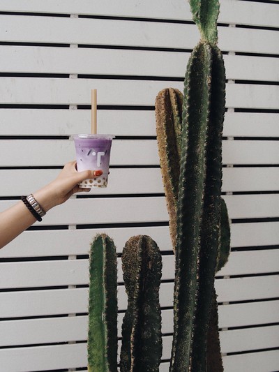 Japanese Pueple Yum Latte With buble